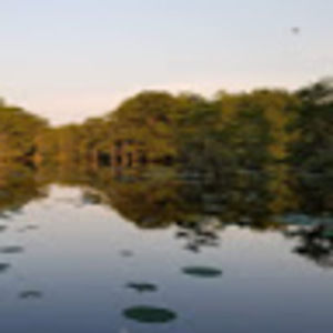 Meet your Posher, Estella